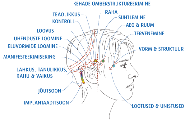 Punktid, mis on seotud meie eluga.
